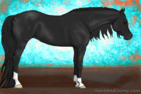 Horse Color:Gray Black 