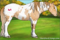 Horse Color:White Spotted Bay Pearl Blanket 