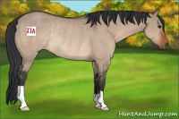 Horse Color:Brown Dun Rabicano 