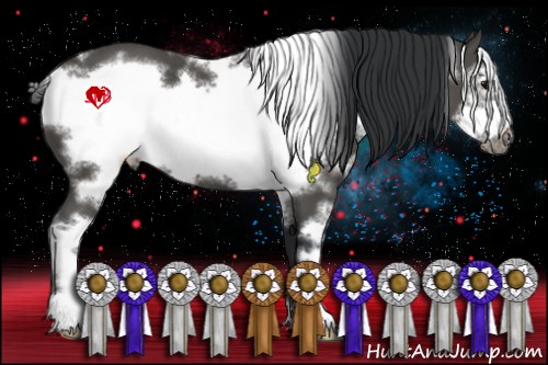 Horse Color:White Spotted Black Sabino Frame