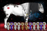 Horse Color:White Spotted Black Sabino Frame