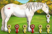 Horse Color:White Spotted Perlino Frame 