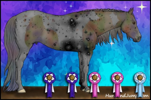 Horse Color:ERROR: UNKNOWN ANOMALY