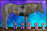 Horse Color:ERROR: UNKNOWN ANOMALY