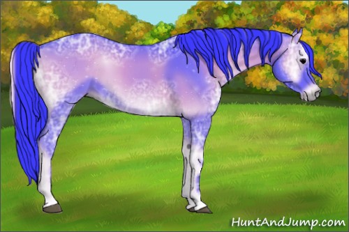 Horse Color:Watercolor Blue Onyx Ice