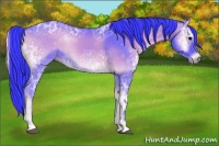 Horse Color:Watercolor Blue Onyx Ice