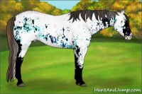 Horse Color:Plaid White Spotted Brown Ice