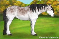 Horse Color:White Spotted Bay Ice