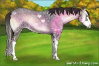 Horse Color:Liver Red Onyx Ice Roan Splash