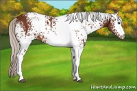 Horse Color:White Spotted Silver Brown