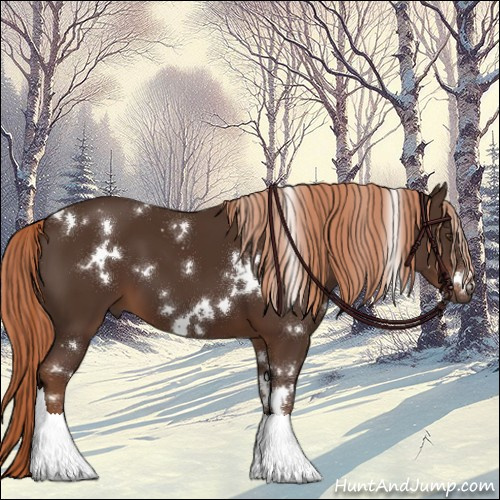 Horse Color:White Spotted Liver Chestnut 