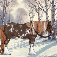 Horse Color:White Spotted Liver Chestnut 