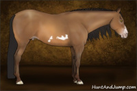 Horse Color:Gray Amber Champagne Frame