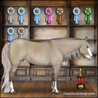Horse Color:Silver Grullo Roan Splash