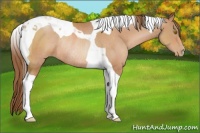 Horse Color:Bay Pearl Tobiano Rabicano 