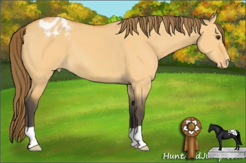 Horse Color:Buckskin Dun Blanket 
