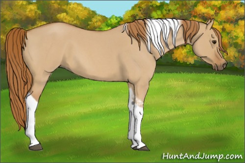 Horse Color:Red Dun Roan Tobiano 