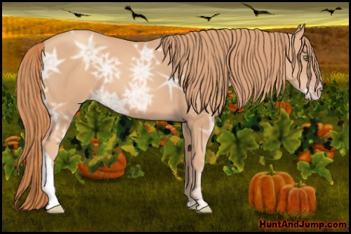 Horse Color:Gold Champagne Ice 