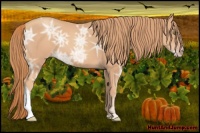 Horse Color:Gold Champagne Ice