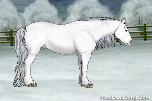 Horse Color:Painted Watercolor White Spotted Silver Grullo Chinchilla Ice Sabino Splash Rabicano 