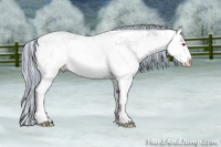 Horse Color:Painted Watercolor White Spotted Silver Grullo Chinchilla Ice Sabino Splash Rabicano 