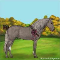 Horse Color:Silver Grullo 