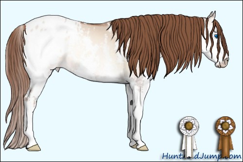 Horse Color:White Spotted Brown Pearl Onyx Splash Appaloosa 