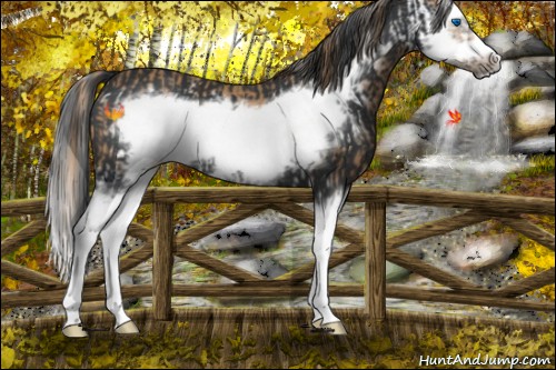 Horse Color:Chestnut Splash Frame and Black Splash Frame