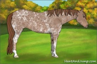Horse Color:Chestnut Ice 