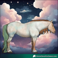 Horse Color:Red Dun Roan 