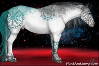 Horse Color:White Spotted Blue Roan Rabicano 