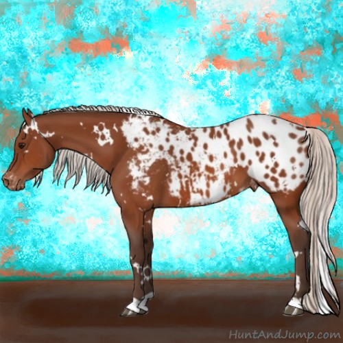 Horse Color:White Spotted Silver Bay Appaloosa 
