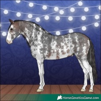 Horse Color:Brown Sabino