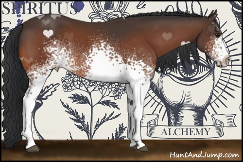 Horse Color:White Spotted Brown 