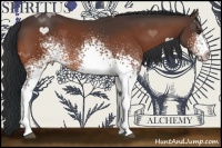 Horse Color:White Spotted Brown 