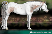 Horse Color:Bay Roan Splash Tobiano 
