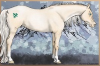 Horse Color:Silver Buckskin Roan Pearl 