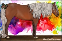 Horse Color:Silver Brown 