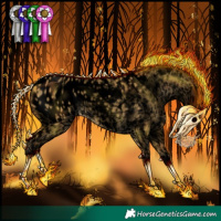 Horse Color:Void Buckskin Roan Dun Appaloosa 