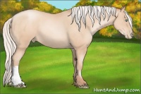 Horse Color:Silver Sable Champagne Pearl