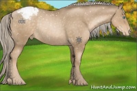 Horse Color:Chocolate Palomino Pearl Snowflake VarnishRabicano