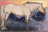Horse Color:Silver Bay Roan Dun 