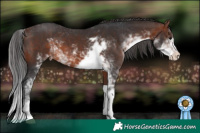 Horse Color:Brown Sabino