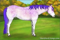 Horse Color:Watercolor White Spotted Bay Ice Onyx Sabino Rabicano