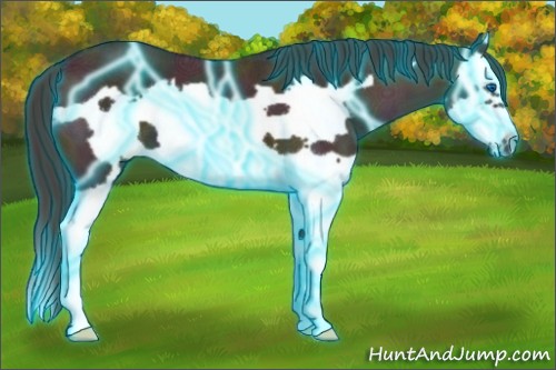 Horse Color:Thunderstruck Midnight Buckskin Ice Dun Splash Frame 