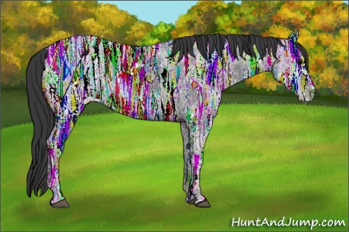 Horse Color:Black Ice Rabicano