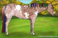 Horse Color:Painted White Spotted Bay Ice 