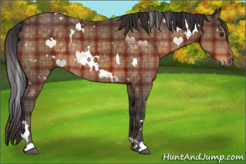 Horse Color:Plaid  White Spotted Brown 