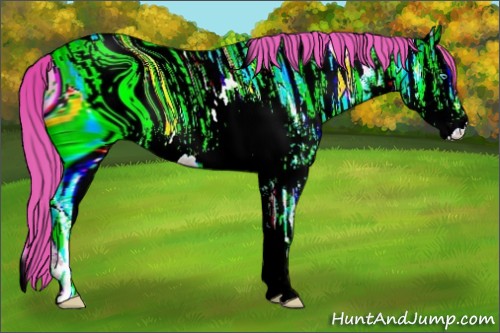 Horse Color:ERROR: UNKNOWN ANOMALY
