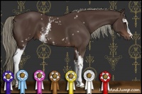 Horse Color:White Spotted Liver Chestnut